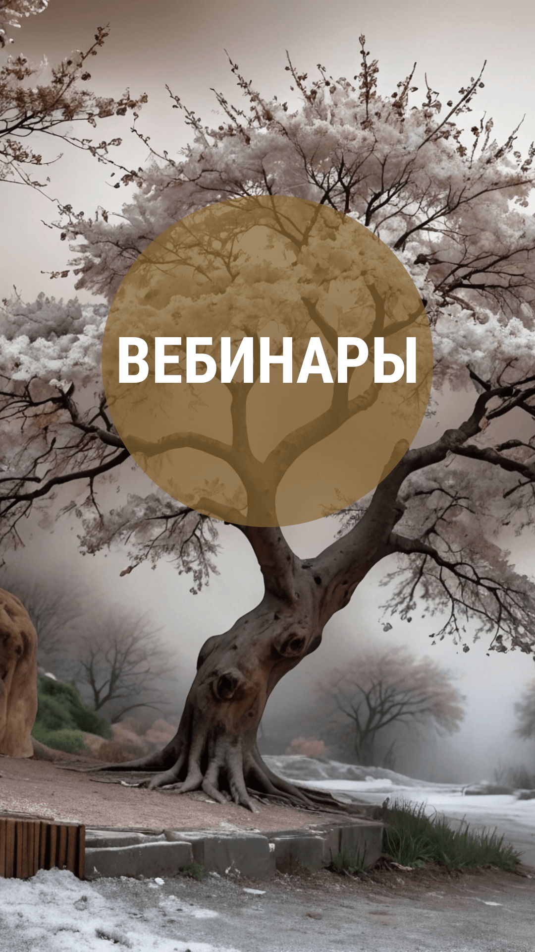 Вебинары